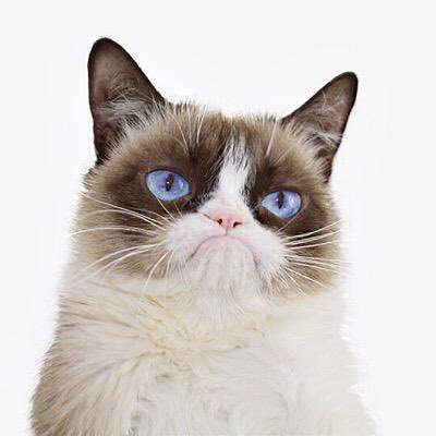 talweezy's tweet image. When u gotz to overhaul code for permissions & come to terms w difficulty testing ea permutation #ios #codinghorror
