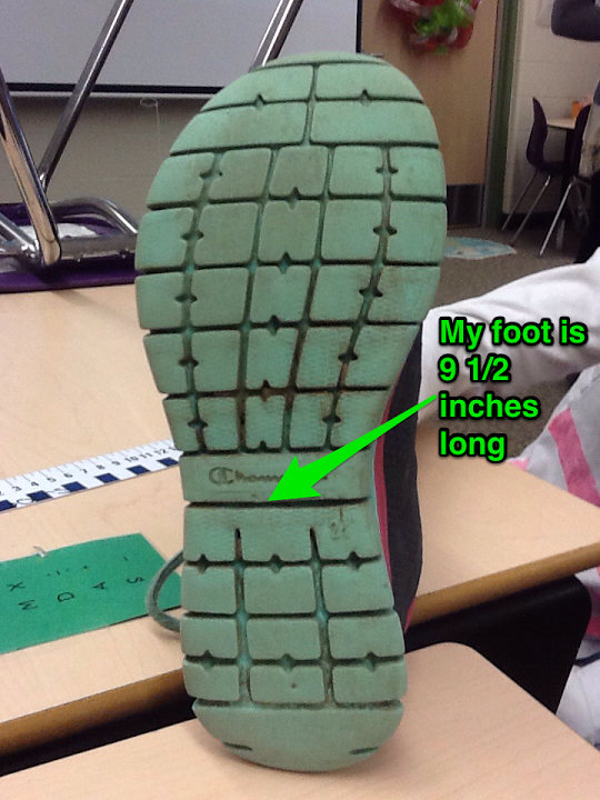 Bethany Lucas tweet media