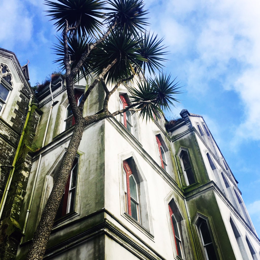 bookbusgirl's tweet photo. On my way to work each day; moss, grass, ti kōuka, pigeons. #stdominicspriory #IncrementalDegradation https://t.co/CDAdoFXocV
