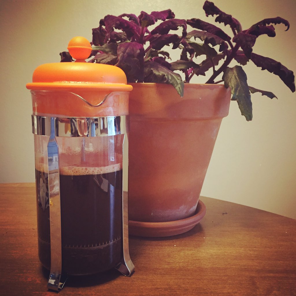 lightningbugart's tweet photo. #frenchpress #goodlatemorning https://t.co/OaCqJXGIvH