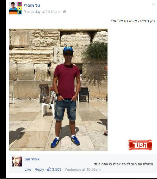 רותם גטניו tweet media