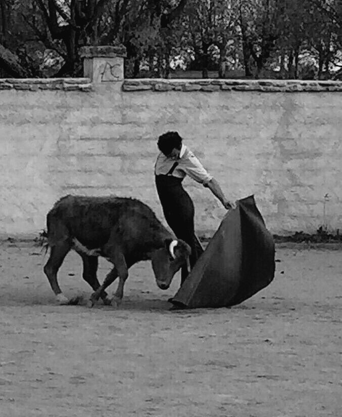jicascon's tweet photo. @Damian_Castano hoy en Caridad Cobaleda...ahí queda eso! https://t.co/cM3hSFBulx