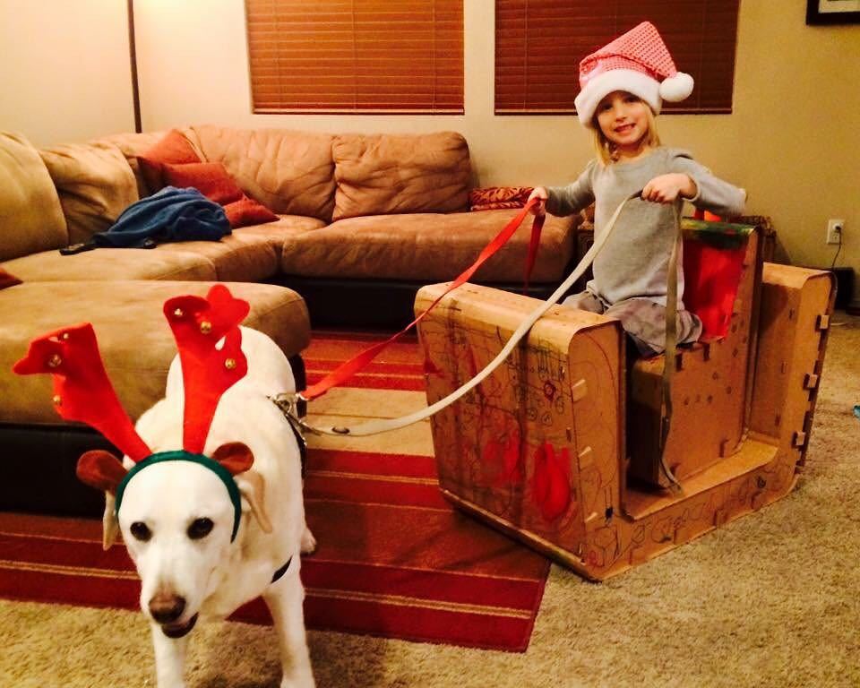 cardboardguys's tweet photo. Let your imagination take you to the North Pole and back! https://t.co/C7JI4sQzjz https://t.co/NCgCMSkM2k