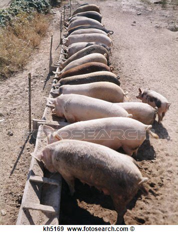 ⭐ Red Rebel ⭐ tweet media