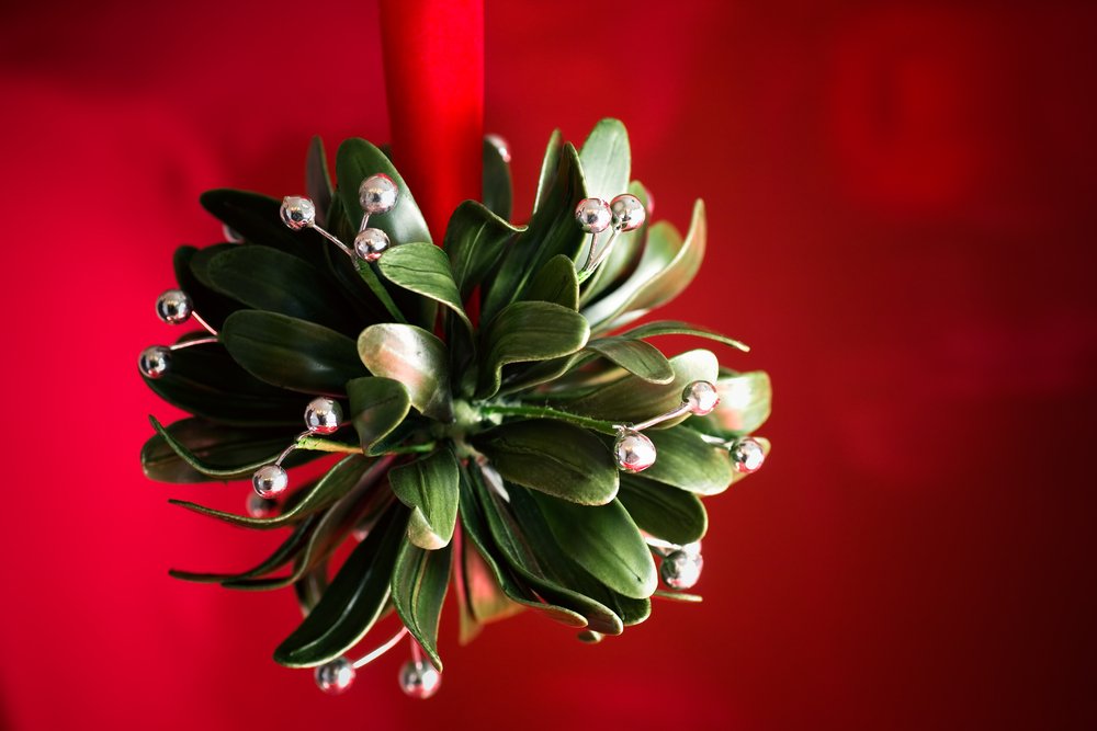 Here's a List of #Holiday Plants That are Naughty and Nice For Your #Pets  buff.ly/1ONMKt0