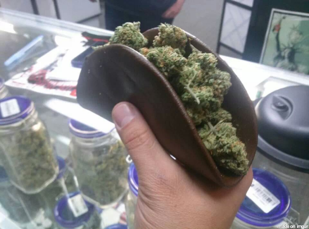 Tommy Chong tweet media