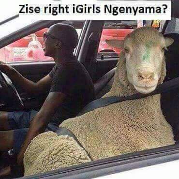 tshehl38's tweet photo. #lebollo https://t.co/L0g96oxp4L