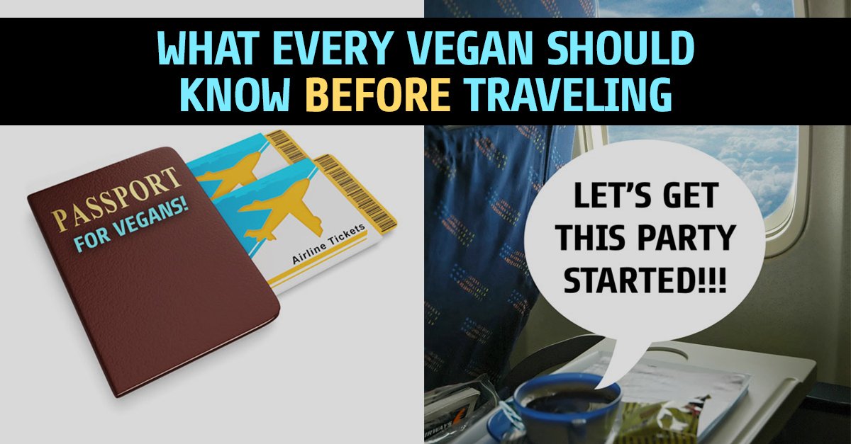 WAIT!

Before going on that trip, check out this #vegan travel guide: peta2.me/travel ✈️🌴 #TravelTuesday
