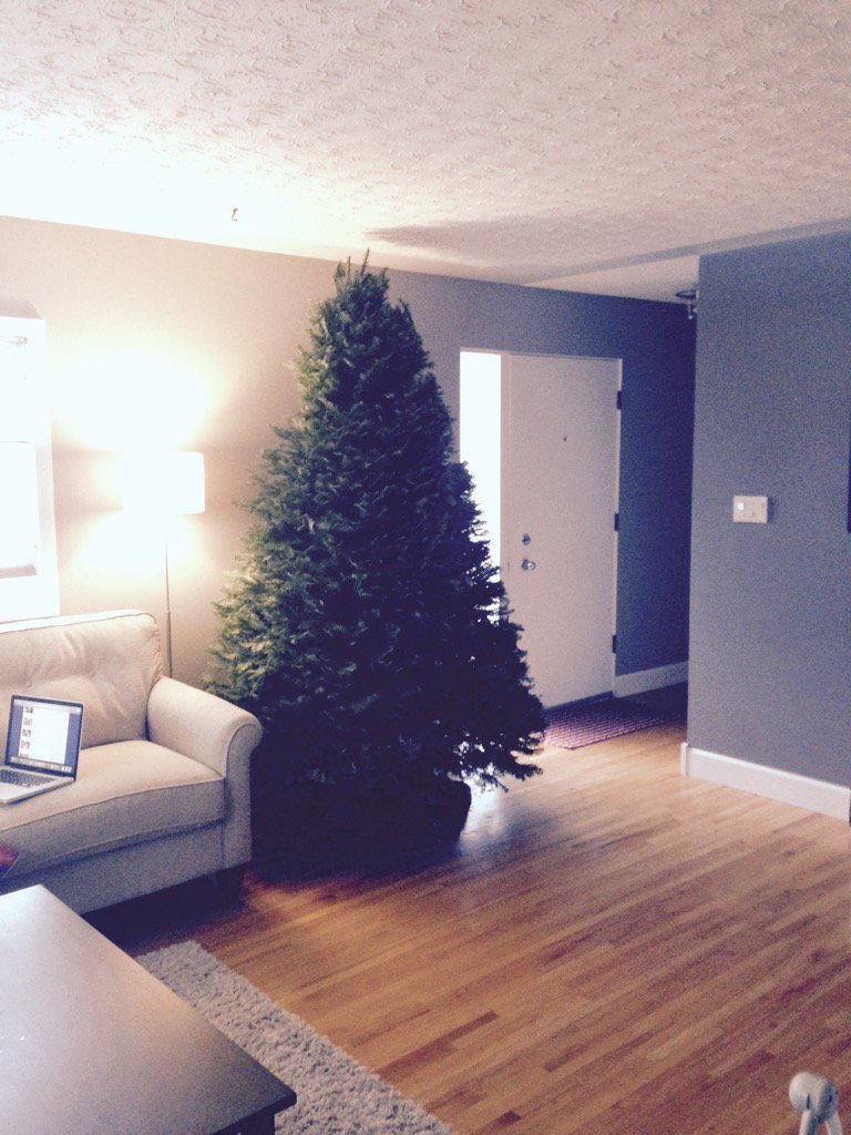 scarnegie22's tweet photo. Christmas in your face when you come threw the door! #alittlefull https://t.co/664XAOtUVf