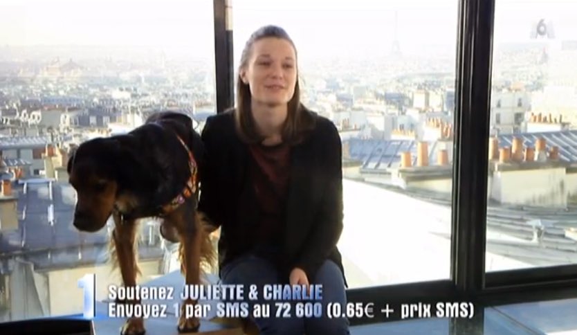 GossipRoomOff's tweet photo. 1 #RT = 1 Félicitation à Juliette et son chien Charlie qui remportent cette saison de #LFAUIT ! 🏆🎉🎊👏🐶💗 @M6 https://t.co/M4CPHIJ9xT