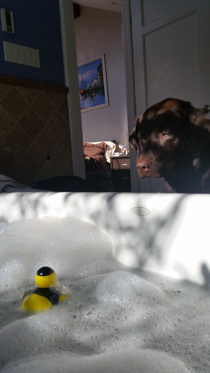 #travelduck staring contest....who wins??#JAmanafaru amazing