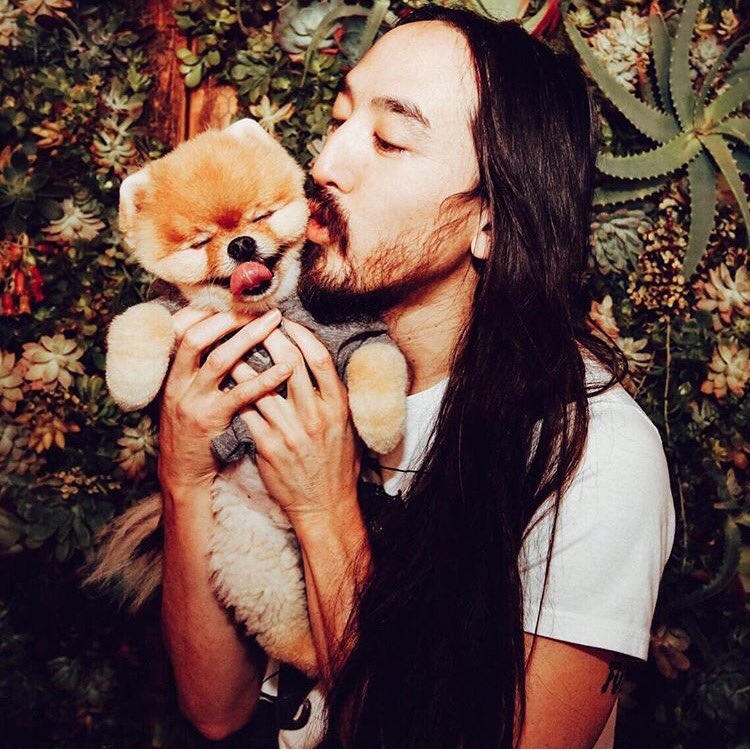 #relationshipgoals @jiffpom https://t.co/JZijC3qRZk