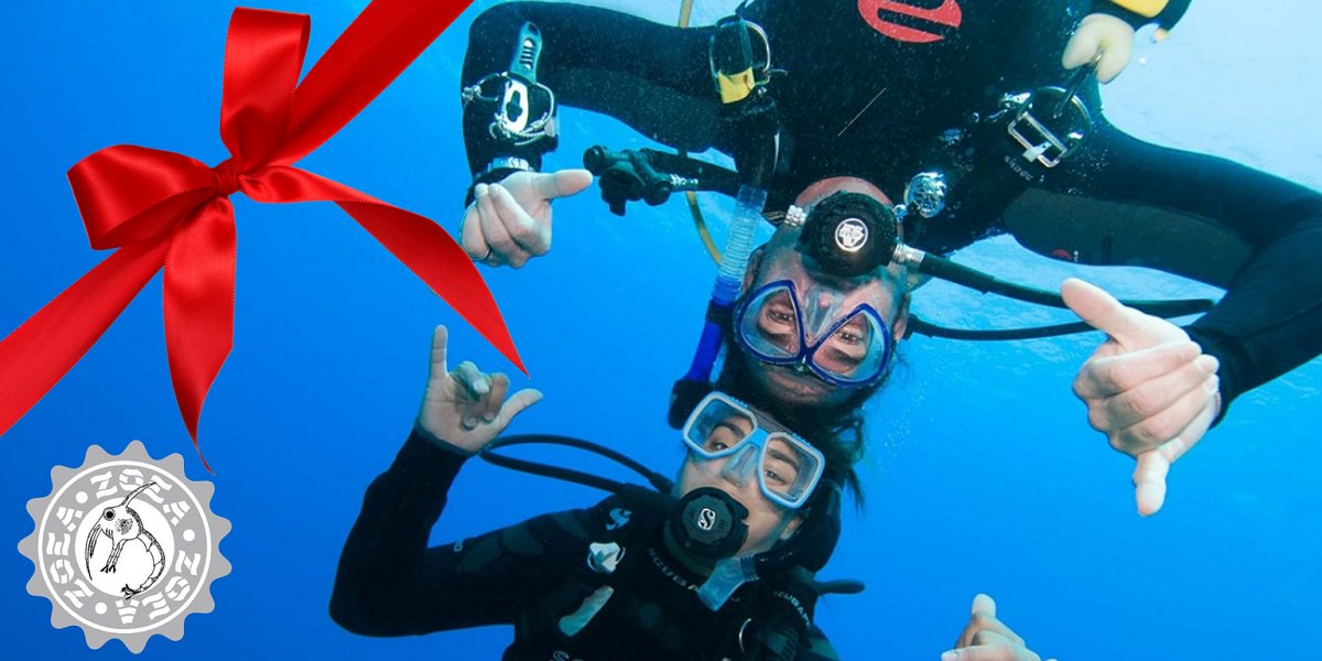 Quieres que tu regalo de #Navidad sea inolvidable? Regala un Curso de Buceo con Descuento zoea.com/?p=307