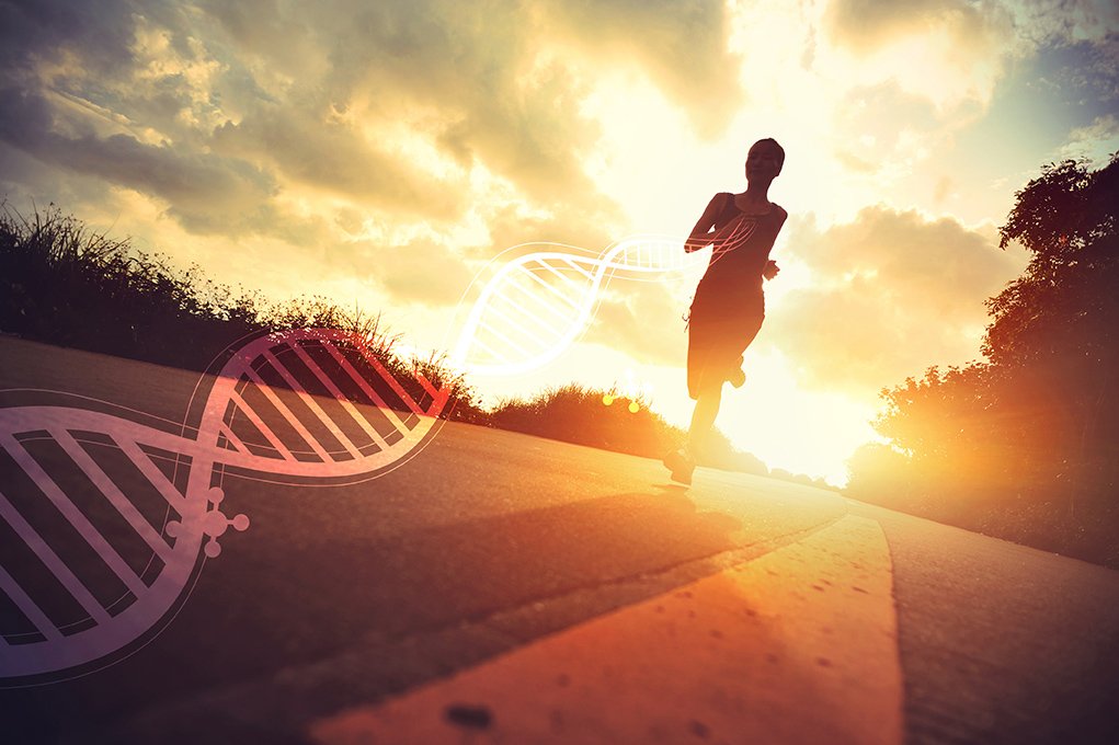 ianmccrae's tweet image. Super excited to launch Orion Health Amadeus, our platform for Precision Medicine. goo.gl/NMZlBT