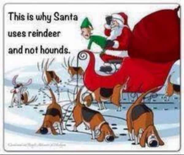 BeagleCeramics (@beagleceramics) on Twitter photo 