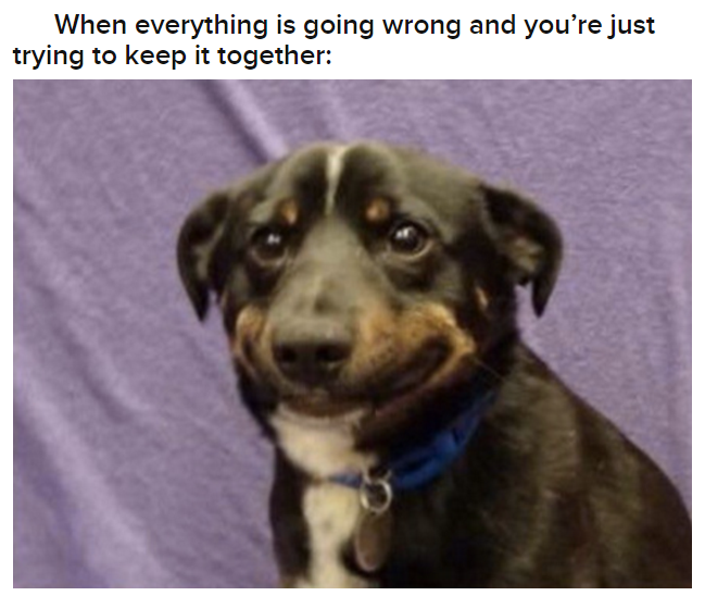 Matheus (@cajamares) on Twitter photo 