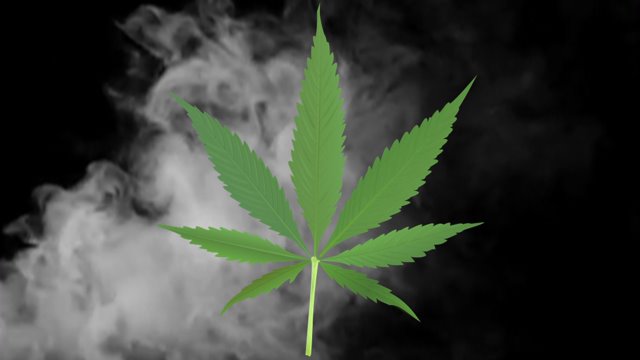 CW33's tweet photo. #Marijuana could soon mean a ticket, not arrest in Dallas.
Here's what went down today https://t.co/ZUofOn4fT5 https://t.co/NkfAsg6oUQ