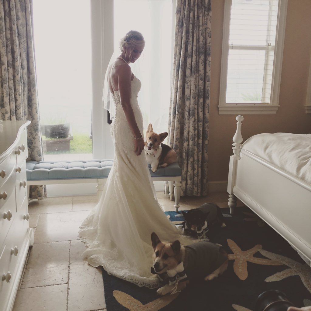 DestWedPro's tweet image. Dogs are family and these three are so cute! #MrandMrsMilkarKW #swivelgroupevents #destinationwedding #dogs