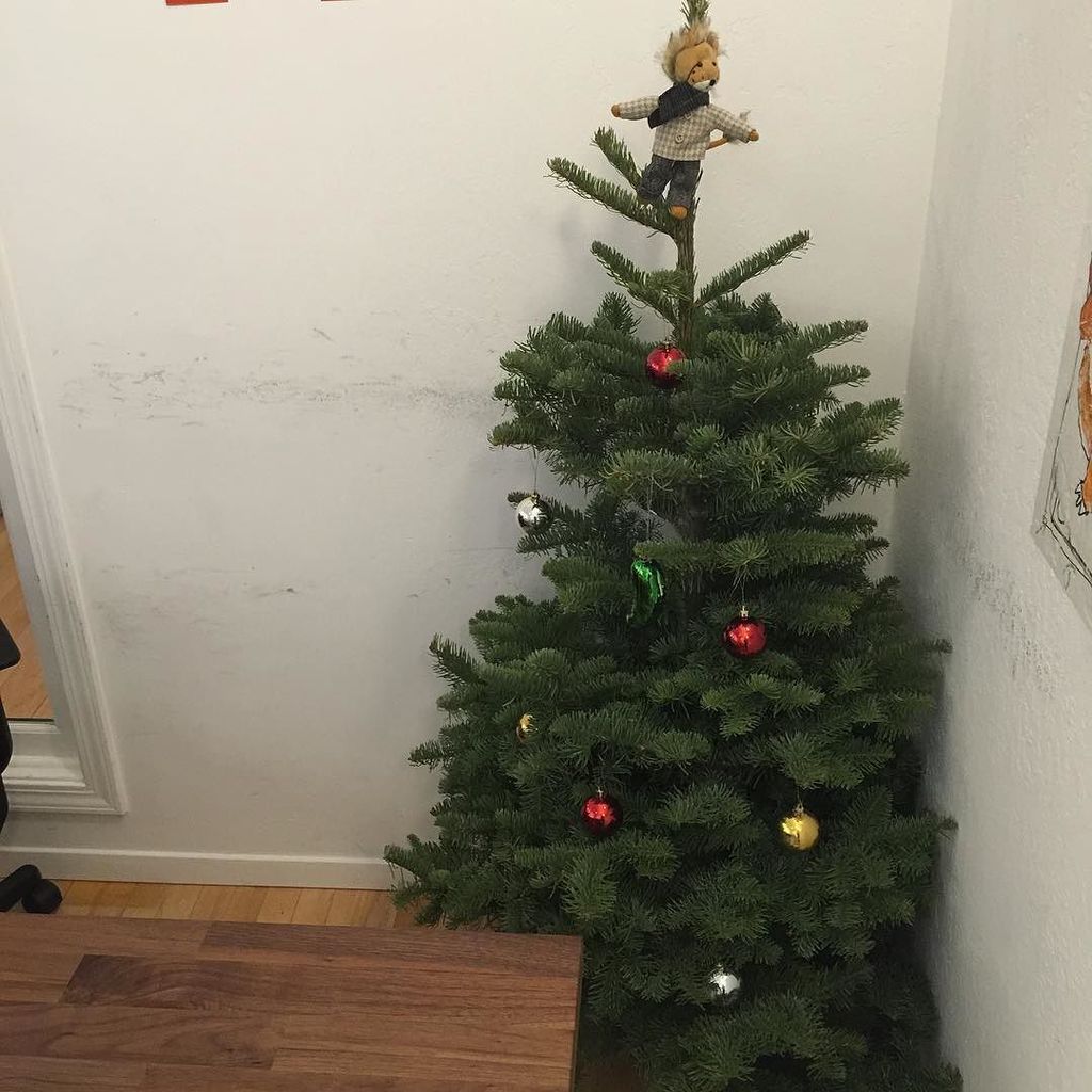 AdmitSee's tweet photo. Our tree is looking way better!...kinda. It'll only improve from here. We hope. #AdmitSee … https://t.co/uc6sOrmDjc https://t.co/FRPS9WfwIa