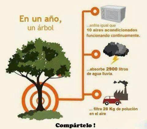 Ecogranjero's tweet photo. La importancia de los árboles!

Basta de deforestación!!! https://t.co/T9OlgEQ2jz