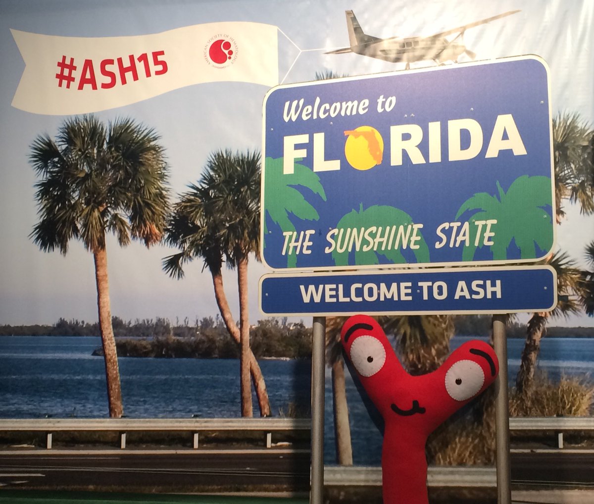 Yet another great #ASH15. Thanks <a href="/ASH_hematology/">ASH</a> &amp; <a href="/citybeautiful/">City of Orlando</a> for having us!