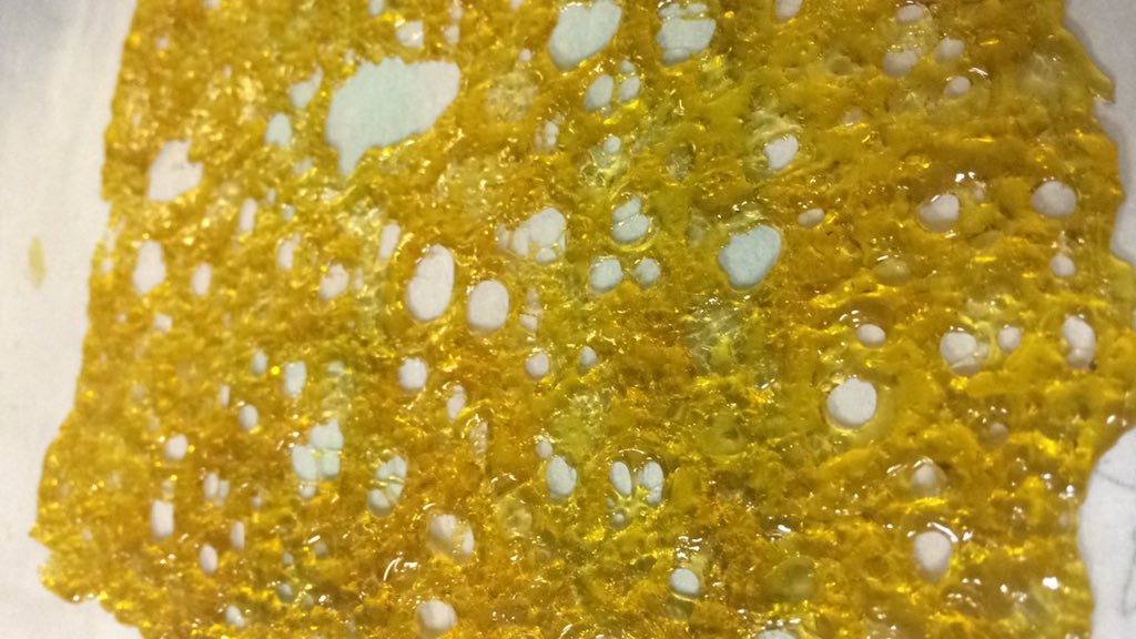 FknVinnieTee's tweet photo. #FreshOutTheOven 😁👌🔥🚀 @BabyGrowsDank @hiightiide @berner415 https://t.co/GUIAAJgEkx