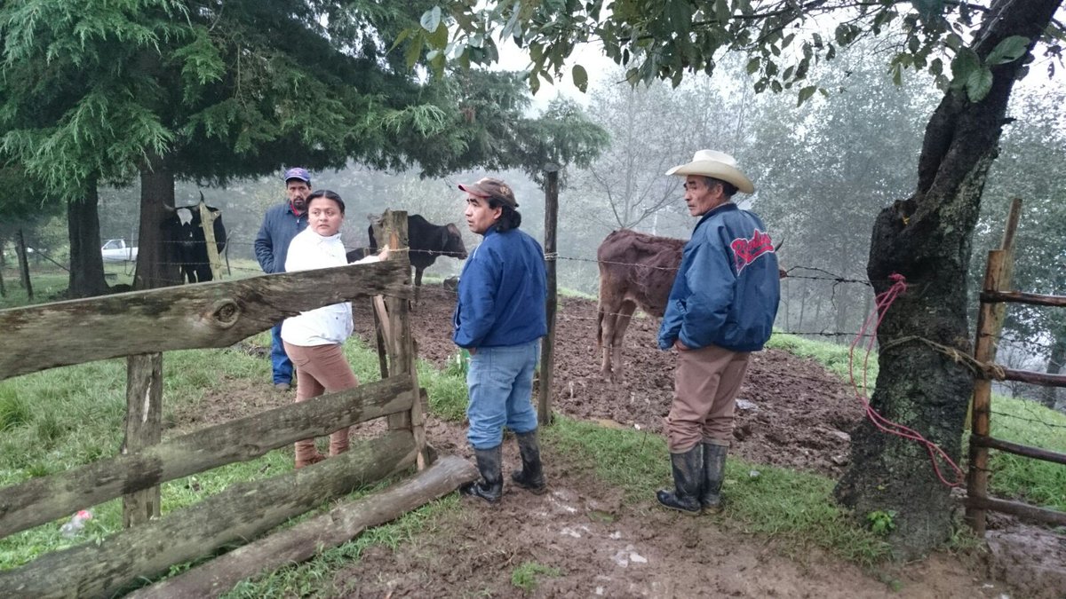 incarural's tweet photo. En #Querétaro nuestra coordinadora #Senacatri participó en la 2º Y 3er etapa de evaluación #PIIEX #INCAEnTodoMx https://t.co/S4C5dsjBgX