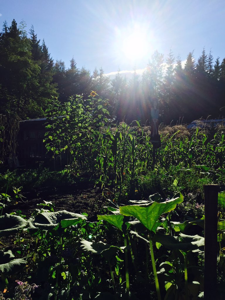 Missing that warm summer sun in the garden #paradise
