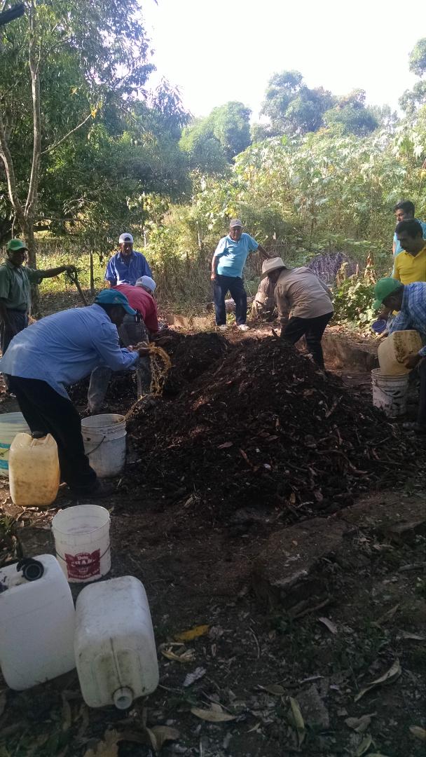 Serrano16Carlos's tweet photo. CEIP 2015 #Productores Satisfechos #Maiz #Guerrero @SAGARPA_mx  @JorgeGaloMedina @linosma @Aureo_Zagal @ORMIXGRO https://t.co/L23rIGqtII
