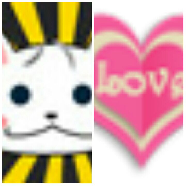 kingsofthz's tweet image. #kjhhgg