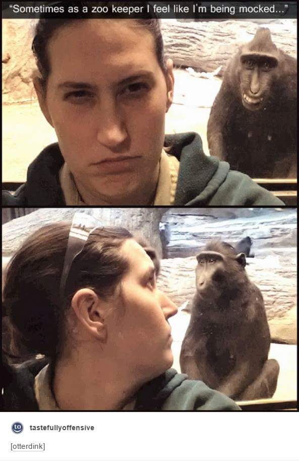 TheMomBun's tweet photo. @edensher quite a few people think I look like you in this picture. What do you think? ;) #photobomb #zookeeper https://t.co/gqnf6JvHEO