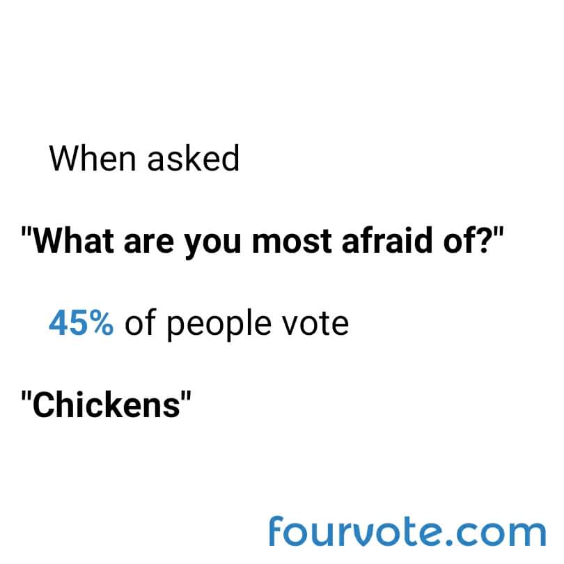 fourvote's tweet image. Our users say #chickens can be pretty #scary what #animal do you #fear 
play.google.com/store/apps/det…