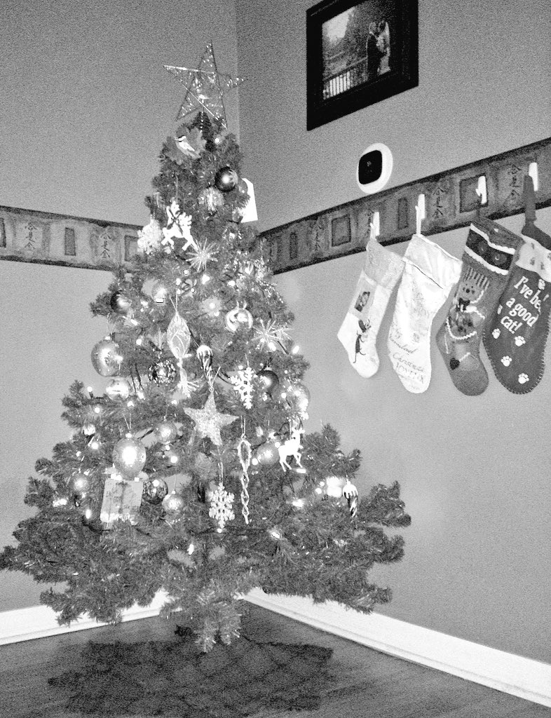 auraborealis199's tweet photo. Finally got the tree up :) now to keep cats and baby out of it lol https://t.co/8MbSY1zy0v