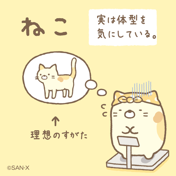 すみっコぐらし 公式 ねこ はずかしがりやのねこ すみっコ紹介 体型を気にしている T Co Xwcxiqqt34 Twitter