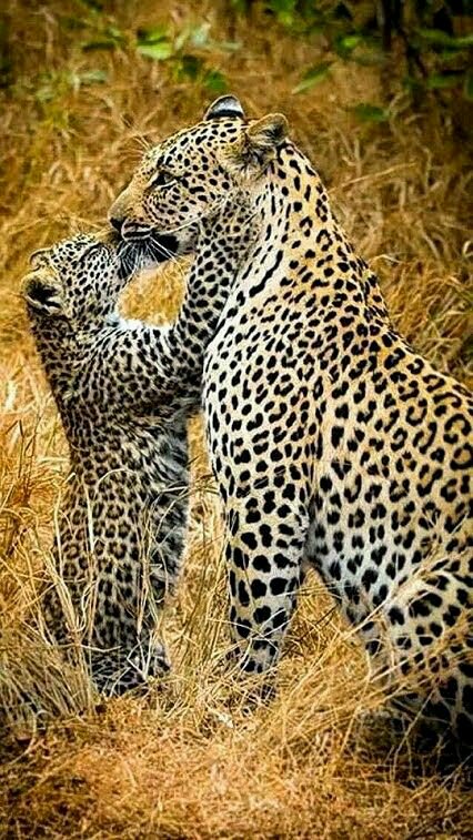 S khan 🇵🇰 tweet media