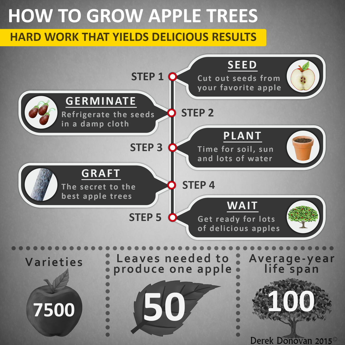 dmdsupernova's tweet photo. #infographic #designer #apple #tree #grow #steps #learn #fun #amazing #art #facts @adobe @AppleTreeAgncy @Applebees https://t.co/MQhSOddT3Z