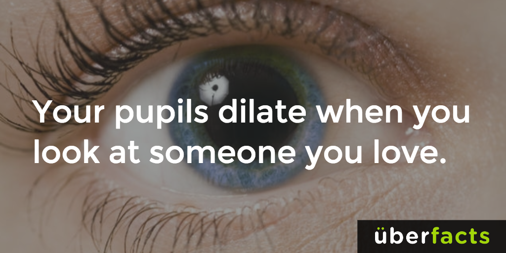 UberFacts's tweet photo. https://t.co/kOqXPNBaYq https://t.co/HVAYVitcpf