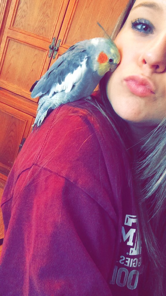 GILL4PREZ's tweet photo. a vote for gill is a vote for the animals! #leclairemock https://t.co/1pYSWCkwVY
