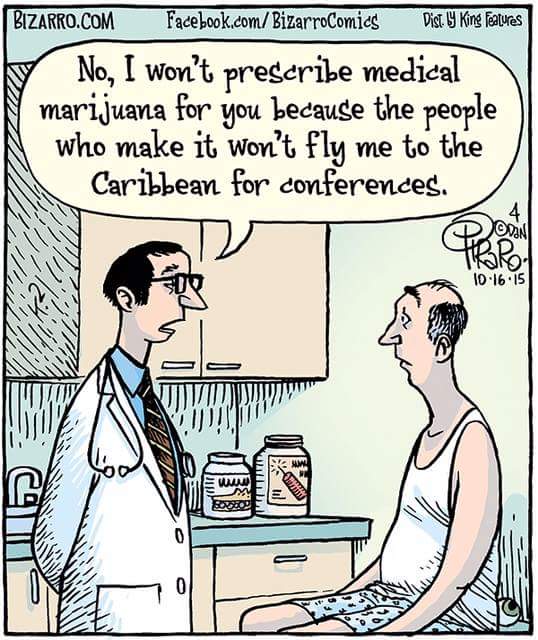 bastilleislove's tweet photo. @GovChristie @RachStr @UDance @UDelaware #nj #mmj #cannabis #bigpharma #doctorslie #cannabiscures #cancer #cbg #cbd https://t.co/XgNGEb1X01