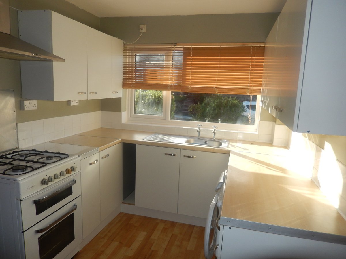 Newton Fallowell tweet media