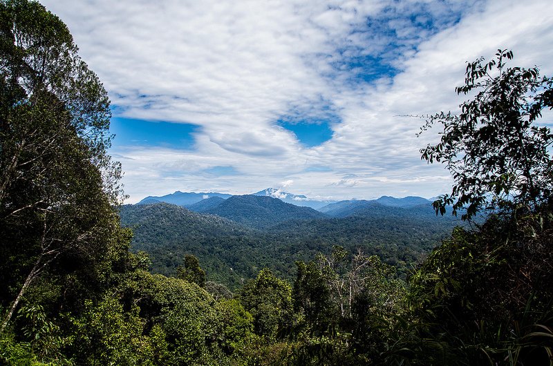 xcaperesort's tweet photo. Back to Nature – Explore, discover and enjoy Taman Negara, the world’s oldest rainforest. https://t.co/wpiEiM9Dil
