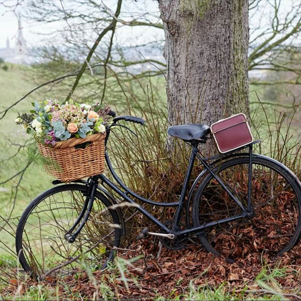 One of the beauties ready to hire for your big day #wedding #prophire #florist #norwich #vintage #bicycle