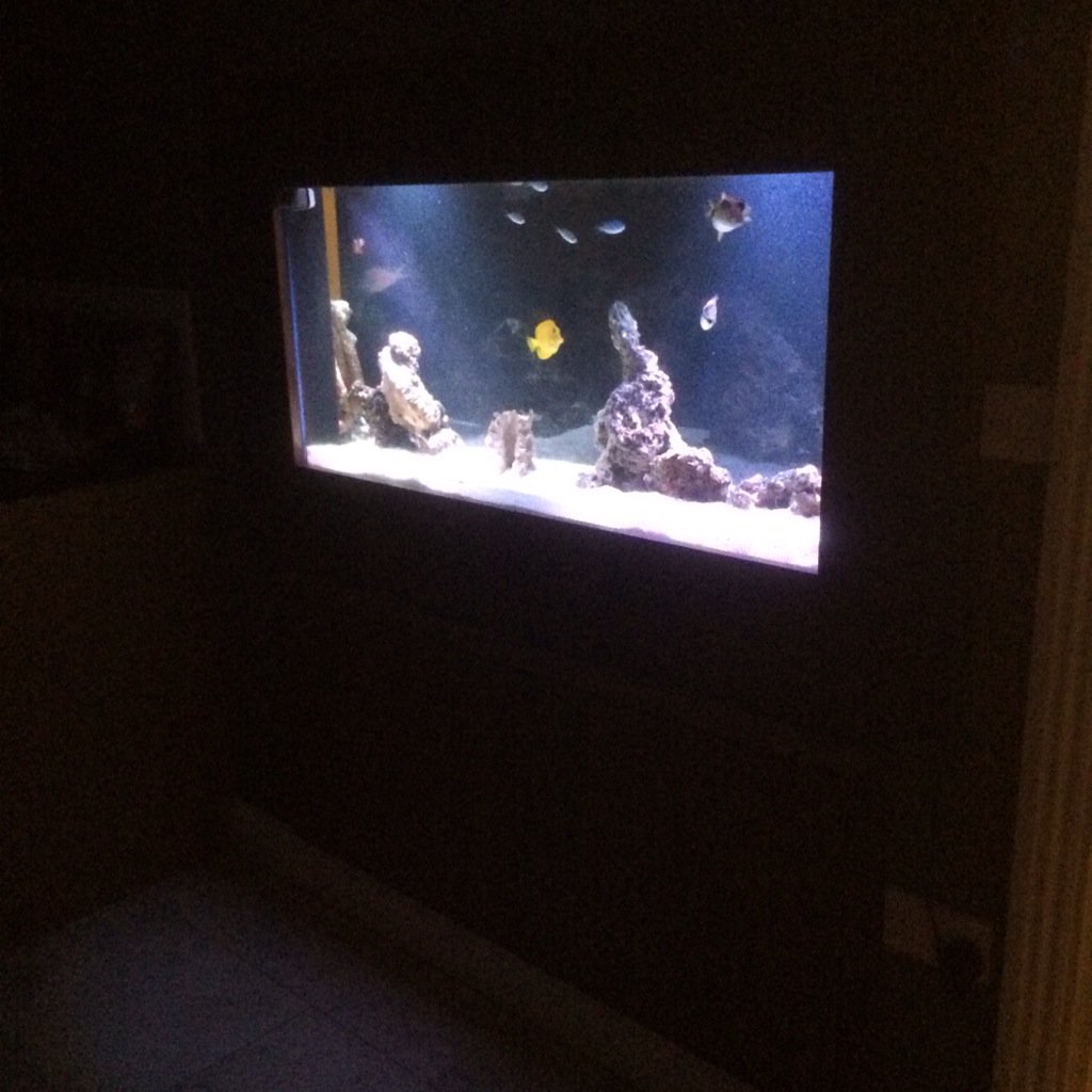 spyinteriors's tweet image. @ButtonfixJulie once again #buttonfix saves the day with this marine aquarium install.  #awesome product.