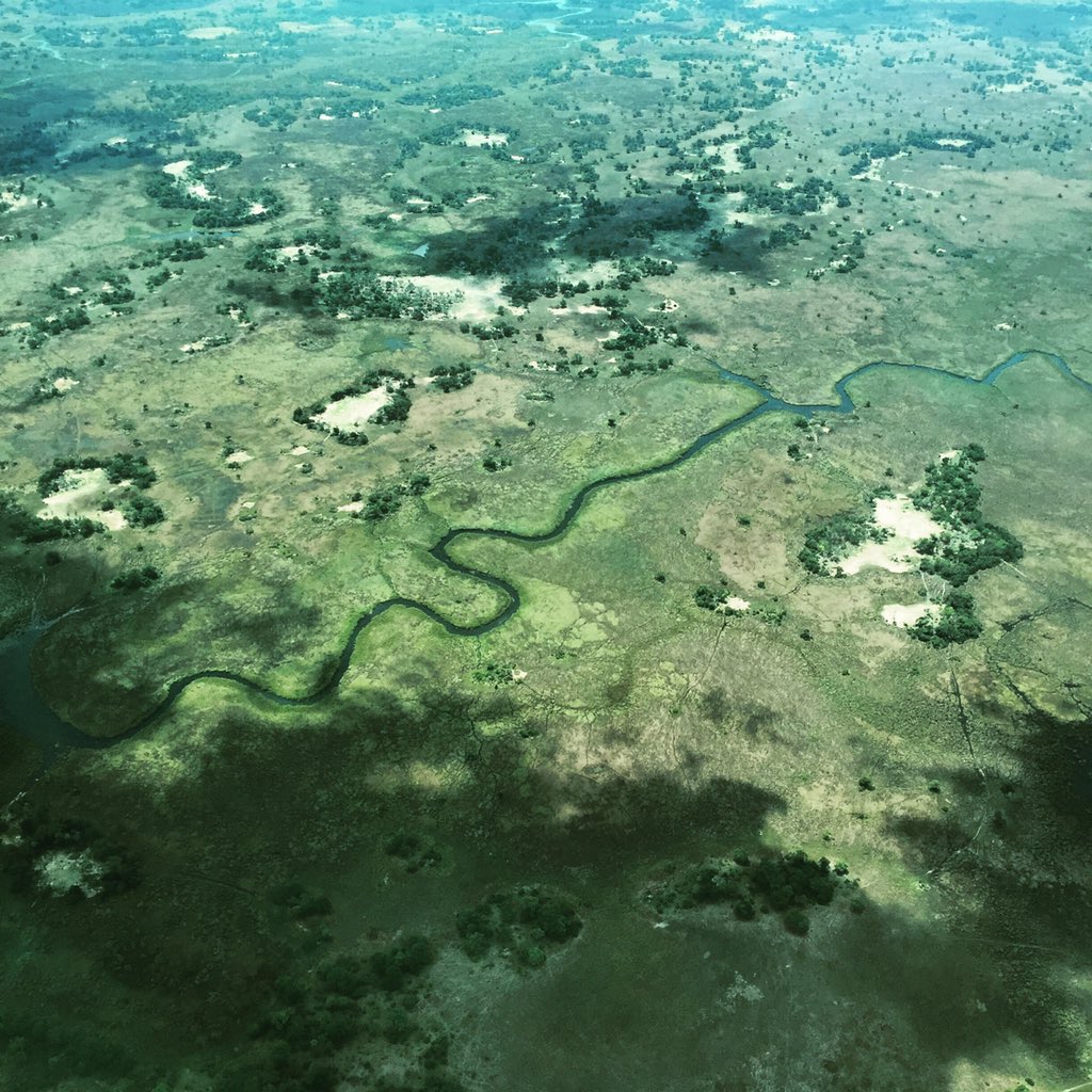 The Okavango Delta from above. Islands, myriad channels, African life... #LPinBotswana #bestintravel2016 #bushpilots