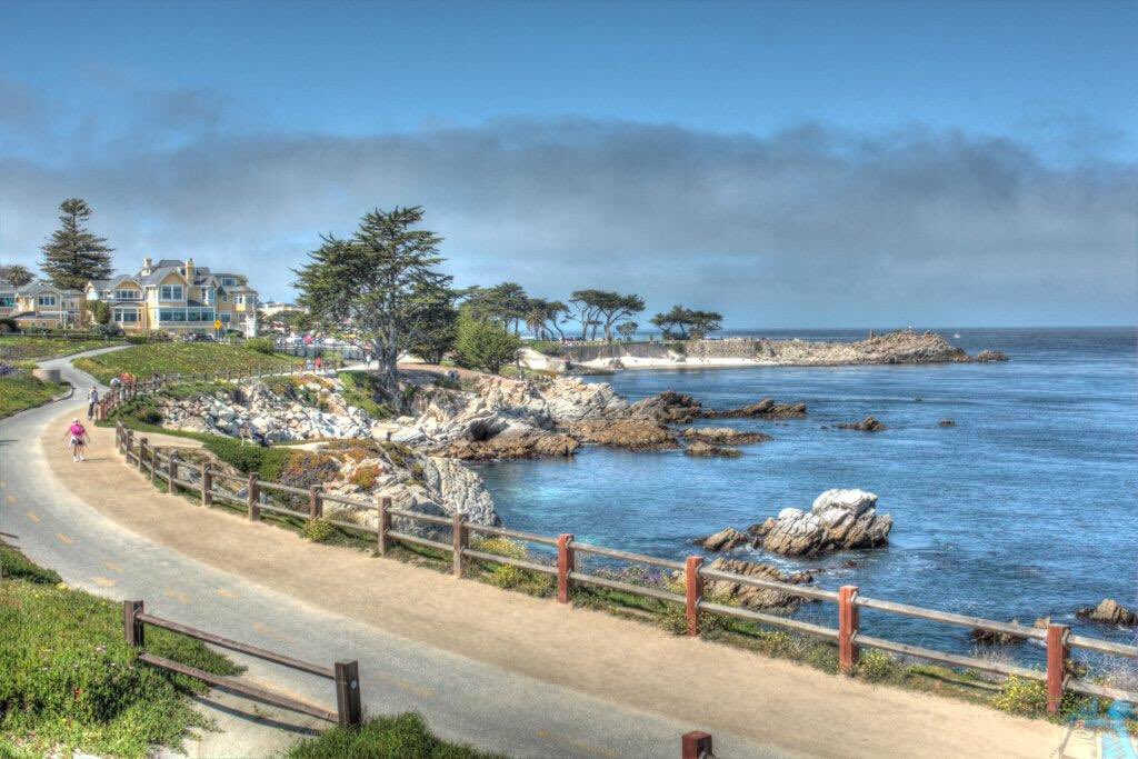 SamesVegasss's tweet photo. Lazy morning in the sun at @MontereyBayCALI Yes, I swear I'm here working! @CarmelBTSea So much distraction! https://t.co/jJuSJfGfsI