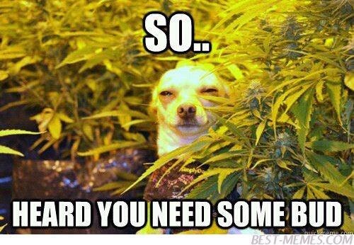 You need some too? :^)