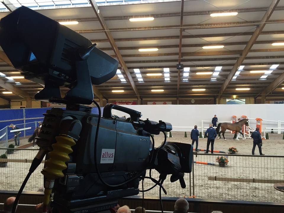 allusmedia's tweet photo. Deze twee weken verzorgen wij de livestream tijdens de eerste bezichtiging van de hengsten in Ermelo voor @KWPN https://t.co/EAdKDyDpeu