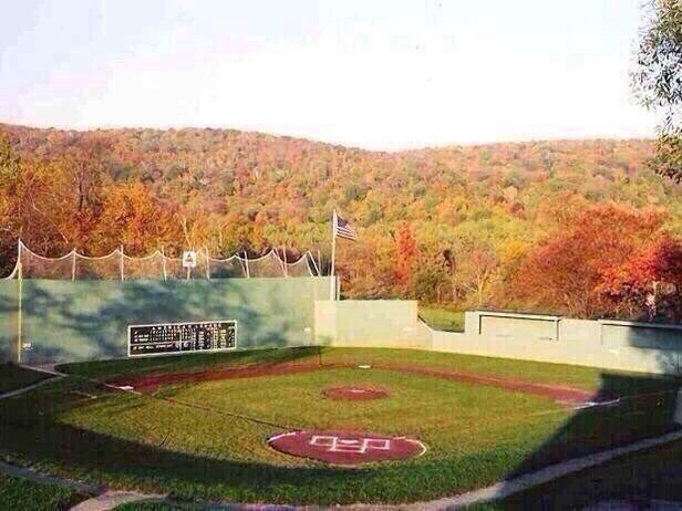 Baseball is Life tweet media
