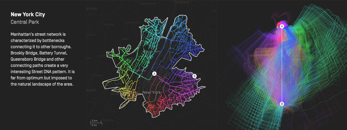 Fingerprint/DNA