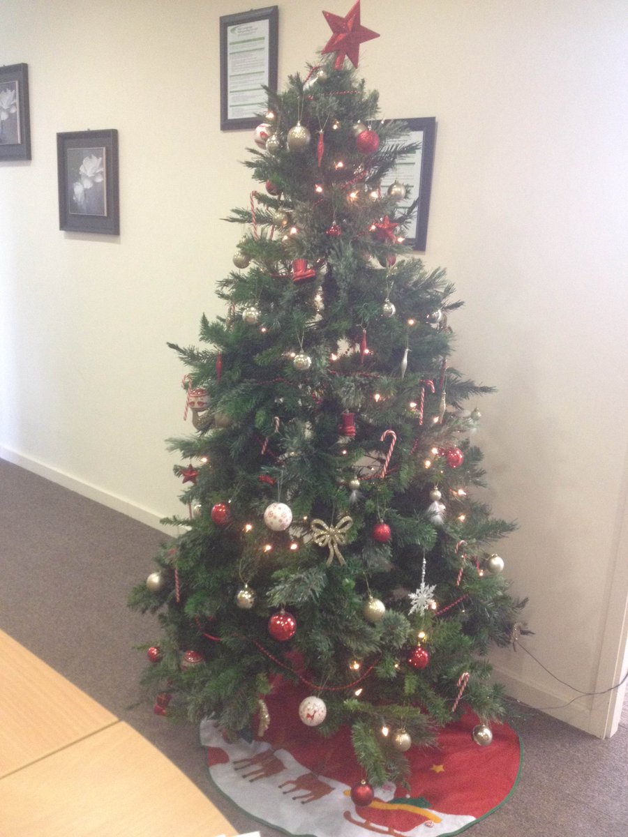 SLIS_IRIS's tweet photo. Our Christmas tree is up and ready for Friday's tea party :) https://t.co/8YCRD8ptUR